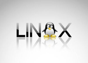 linux