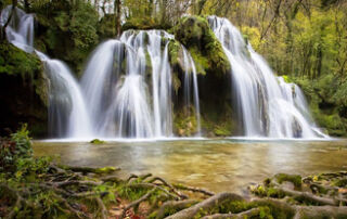 Día Mundial del Agua