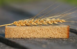 Seguridad alimentaria, seguridad laboral y nutrición