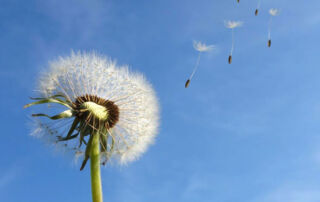 Transitar hacia una economía baja en carbono