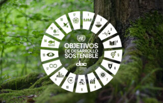 Objetivos de Desarrollo Sostenible y la CEC
