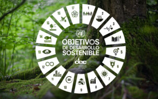 Objetivos de Desarrollo Sostenible