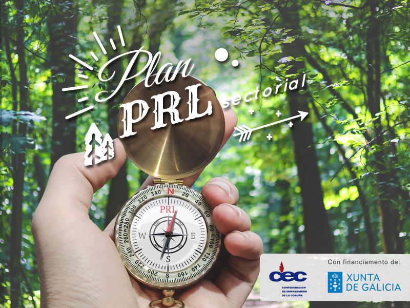 Plan de formación sectorial PRL Plan de formación sectorial PRL