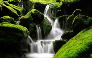 Medio Ambiente y salud