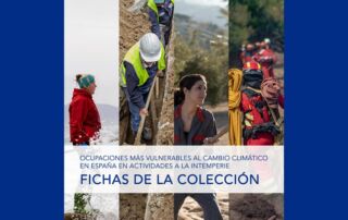 Estudio ocupaciones vulnerables