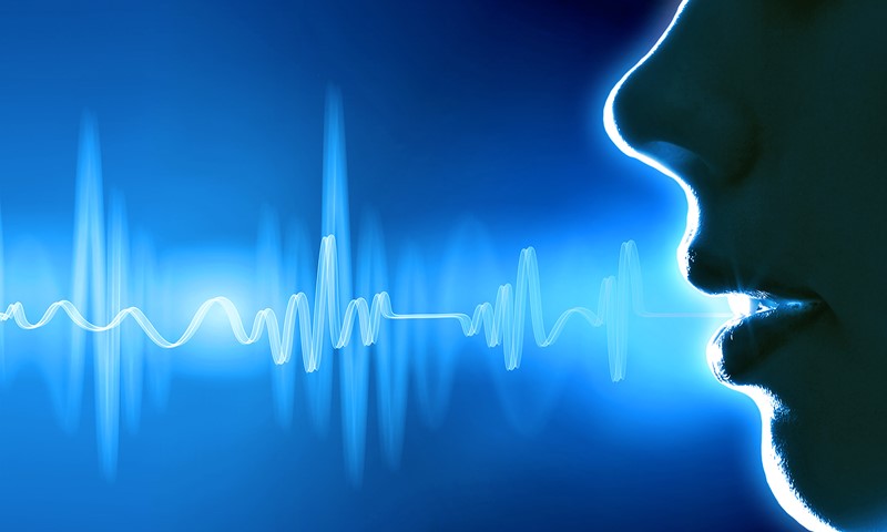 Patologías de la voz