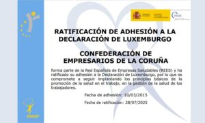 Declaración de Luxemburgo